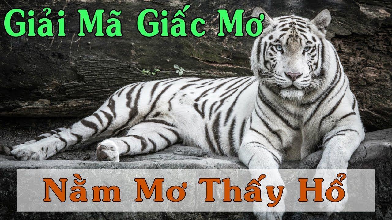 w88 sale sòng bạc là gì